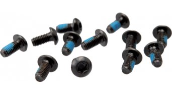 Hayes torx T-25 screw set to rotor mounting (12 pcs) Hayes torx T-25 screw set to rotor mounting (12 pcs)