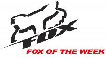 Fox of the Week Fox of the Week