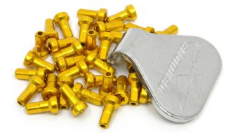 Atomlab torx nipple for Atomlab rim 36 pcs. gold (incl. Tool) Atomlab torx nipple for Atomlab rim 36 pcs. gold (incl. Tool)