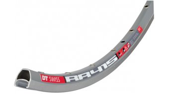 DT Swiss RR 415 28 bici da corsa cerchio 28h argento DT Swiss RR 415 28 bici da corsa cerchio 28h argento