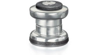 Campagnolo Record Threadless Steuersatz 1-Ahead, HS00-RETH Campagnolo Record Threadless Steuersatz 1-Ahead, HS00-RETH