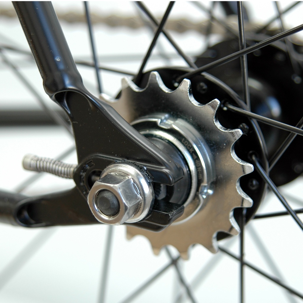 Fixed Gear
