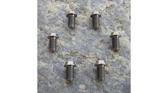 Extralite ExtraBolt 9 Titan-Schrauben für Rotor, 6Stk Extralite ExtraBolt 9 Titan-Schrauben für Rotor, 6Stk