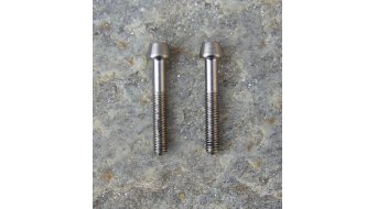 Extralite ExtraBolt 7 Titanschrauben für ThePost Extralite ExtraBolt 7 Titanschrauben für ThePost
